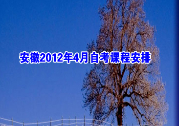 �Կ��ܿ���289��