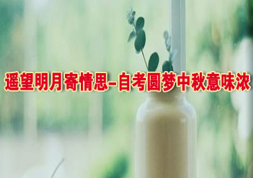 �Կ��ܿ���377��