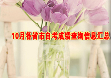 �Կ��ܿ���383��