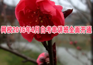 �Կ��ܿ���486��